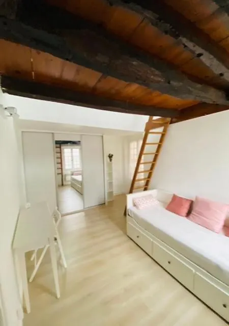 Paris Louvre Apartment France