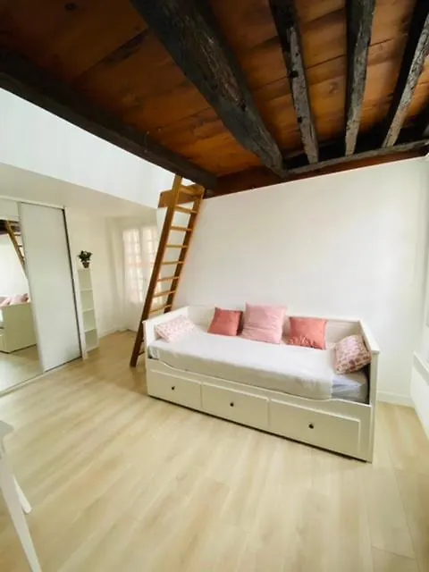Paris Louvre Apartment